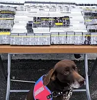 Kayseri–Malatya yolunda bir tırda bakın neler ele geçirildi?