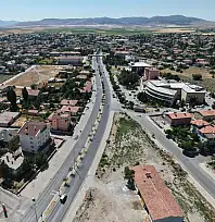 Kayseri'nin o ilçesinde 466 sokak hayvanı bakın nereye teslim edildi?