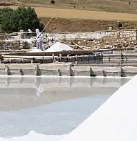 Kayseri'ye 4 bin ton beyaz altın alınacak!