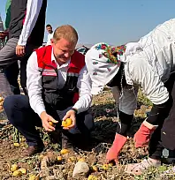 Kayseri Yeşilhisar'da üretiliyor, Katar'a, Suudi Arabistan'a gönderiliyor