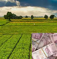Kayserili çiftçiye nefes aldıracak destek açıklandı