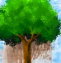 Kayserili ünlü iş adamı duyurdu: Torunum kitap yazdı!