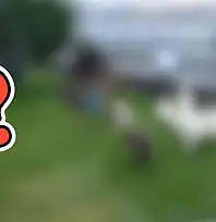 Kayserili ünlü iş insanı boğazdaki yalısında bakın ne besliyor?