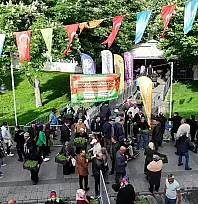 Kocasinan'dan müjde: Ücretsiz domates fidesi dağıtım tarihi netleşti