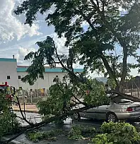 Meteoroloji'den Kayseri için 'sarı' alarm! Fırtına ve rüzgar uyarısı yapıldı