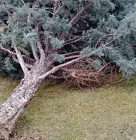 Meteoroloji'den Kayseri'ye kritik uyarı: 'Kuvvetli' olacak