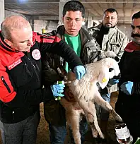 Müdür Saklav, o işletmeyi yerinde inceledi