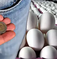 Nefes aldıran indirim... Tane fiyatı düştü
