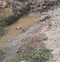 Sarız Ördeklililer 15 gündür seslerini duyurmaya çalışıyor