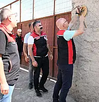 Sayı artıyor! Kayseri'ye bir yeni işletme daha...