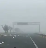 Sürücüler dikkat! Erciyes yolu dahil tüm güzergâhlarda sis