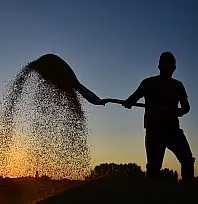 Toprağa bereket, çiftçiye destek! İşte ödemelerin detayları