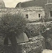 'Toprağa her dokunduğumuzda yeni bir tarih...' Başkan Büyükkılıç müjdeyi verdi