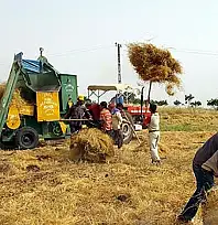 Üreten eller güçleniyor: Çiftçiye 1,14 milyar TL'lik destek ödemesi