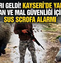 Uyarı geldi! Kayseri'de yarın can ve mal güvenliği için Sus Scrofa alarmı