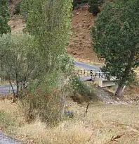 Veteriner hekim şehit olmuş, teröristler Emniyet Genel Müdürlüğü'ne saldırmıştı: Dönemin komutanı hakim karşısına çıktı