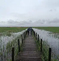 Zamantı'dan DSİ'ye toprak kanal tepkisi
