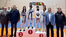 Kayseri'de taekwondo heyecanı