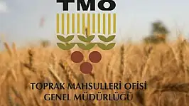 Çiftçinin beklediği haber geldi! TMO ödeme tarihini açıkladı