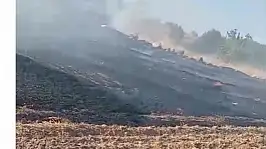 Erkilet Kuşçu'da yangın