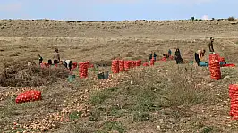 Geçen yıl makine desteği gelmişti, şimdi hasat zamanı