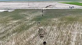 Kayseri Şeker'den çiftçilere peş peşe uyarı!