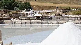 Kayseri'ye 4 bin ton beyaz altın alınacak!