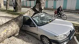 Meteoroloji Kayseri'yi uyardı! Kuvvetli rüzgar olacak