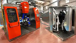 Kayseri'de genç girişimcilerden yerli robotik süt sağım sistemi