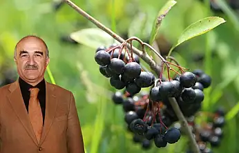 AK Partili eski Başkana aronya engeli! Kim arazi vermedi, kim devreye girdi?