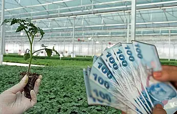 Bakan Yumaklı duyurdu: 226 milyon lira hesaplarda