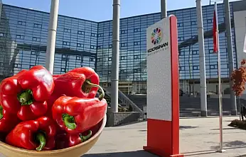 Belediye ücretsiz tohum dağıtacak