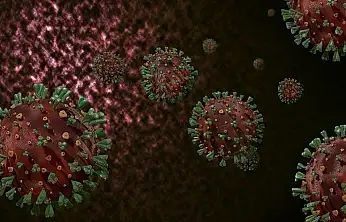 Dünya Sağlık Örgütü uyardı: Ölümcül virüs tüm dünyaya yayıldı