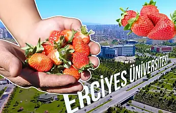 Erciyes Üniversitesi çilek satacak! Kilosu 120 lira