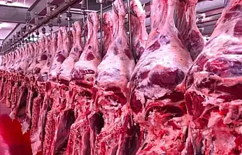 Et üreticileri dikkat: Karkas tartımında yeni dönem başlıyor