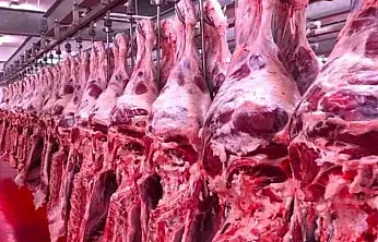 İç Anadolu'da karkas et piyasasında son durum!