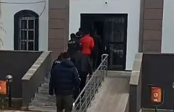Kangal hırsızları Kayseri'de yakalandı