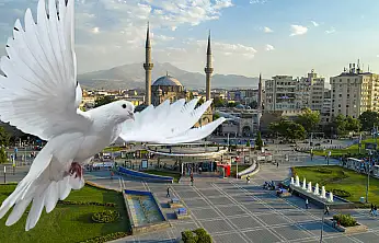 Kayseri'de bakın kimler yüzde 100 hibeyle desteklenecek! Talih kuşu kondu