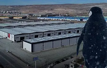 Kayseri'de Başkan 'Merak etmeyin' diyerek paylaştı! Herkesin konuştuğu penguen bakın nereye geldi?