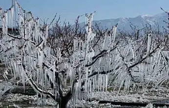 Kayseri'de bugün herkes ve her yer donacak