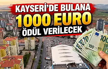 Kayseri'de bulana 1000 Euro ödül verilecek