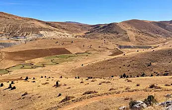 Kayseri'de çiftçileri bezdirdiler! Araziye çıkıldı, 75'i vuruldu