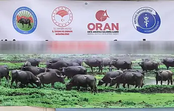 Kayseri'de dikkat çeken afiş! Gören bir daha baktı!