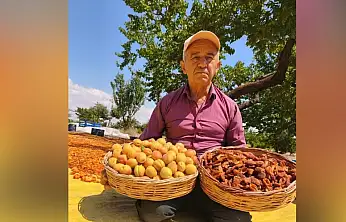Kayseri'de hasat zamanı başladı! Bahçesi Malatya'yı aratmadı