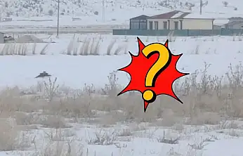 Kayseri'de köpeği parçalamıştı! Bir ilçede daha görüldü