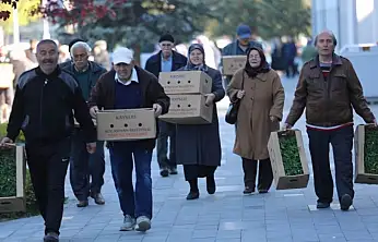 Kayseri'de yarın ücretsiz domates fidesi dağıtılacak! 4 farklı yer belirlendi