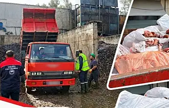 Kayseri'deki at-eşek eti şokunun ardından şimdi de domuz eti!