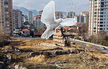 Kayseri'deki Basiliada merak konusu oldu! Mahalleye talih kuşu mu kondu?