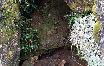 Kayseri'deki mağaradan dumanlar yükseldi! Gerçek yaklaşınca ortaya çıktı