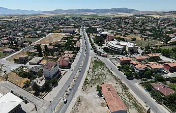 Kayseri'nin o ilçesinde 466 sokak hayvanı bakın nereye teslim edildi?